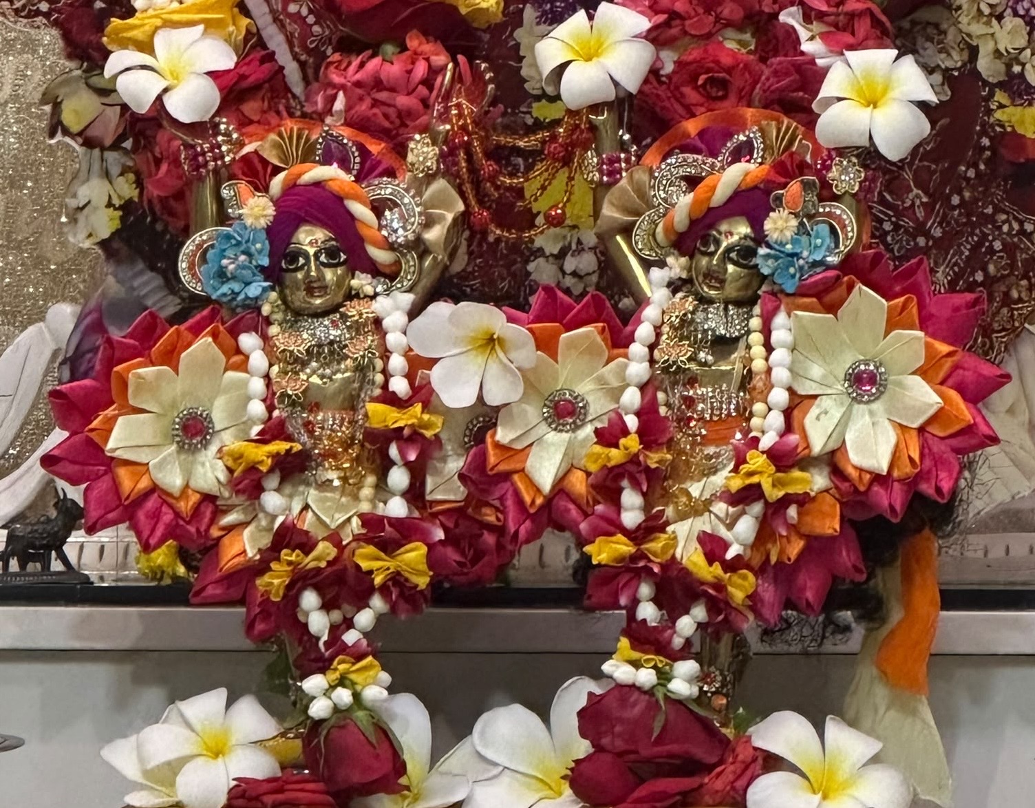 Daily Darshan — Sri Sri Radha Govind